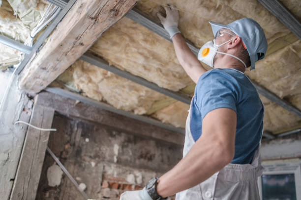 Best Residential Insulation in Plainview, NE